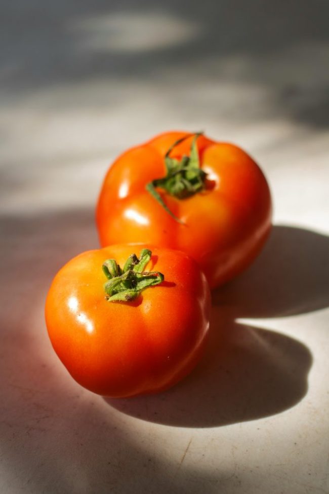 pexels-elizabeth-tamara-27565957-15751678 The Tomato Trap: Why Fresh Produce Prices Are Rising as Import Costs and Weather Squeeze Supply