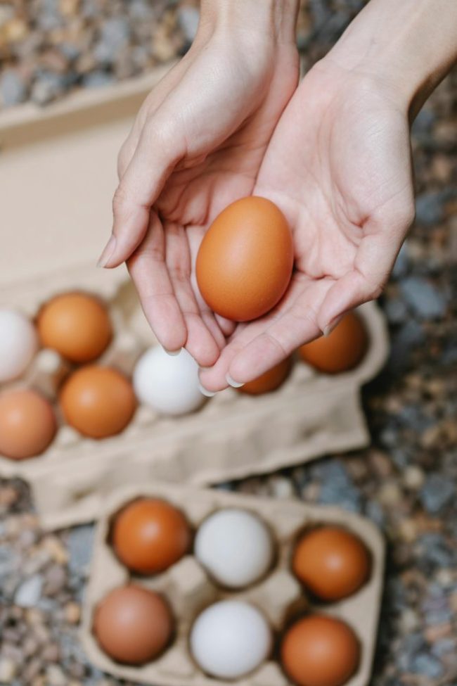 pexels-klaus-nielsen-6294106 Egg Prices Are Set to Fall 27% This Year — Here’s Why