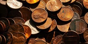 7 Bulk Buys Worth Every Penny Right Now