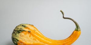 10 July Produce Buys That Can Stretch a Grocery Budget