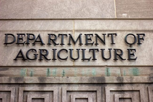 USDA Expects Grocery Prices to Rise Again—Which Foods Are Likely to Cost More Before Labor Day?