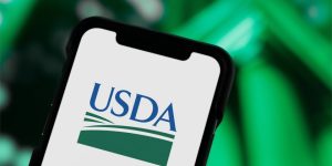 What Grocery Shoppers Should Know About USDA's Latest Price Forecast