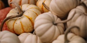 Fall Produce Is Landing Now—10 Items That Get Pricier If You Wait Until November