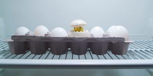 Why Are Eggs Refrigerated in America but Left on the Shelf in Other Countries?