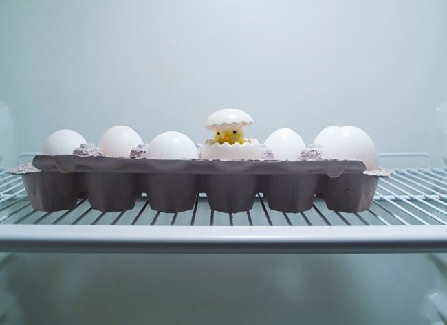 A carton of eggs sits inside a refrigerator. Why Are Eggs Refrigerated in America but Left on the Shelf in Other Countries?