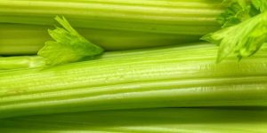 Don't Waste Money on Bad Celery — This One Sign Tells You to Put It Back