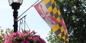 Maryland Just Banned Dynamic Grocery Pricing: What Shoppers Need to Know