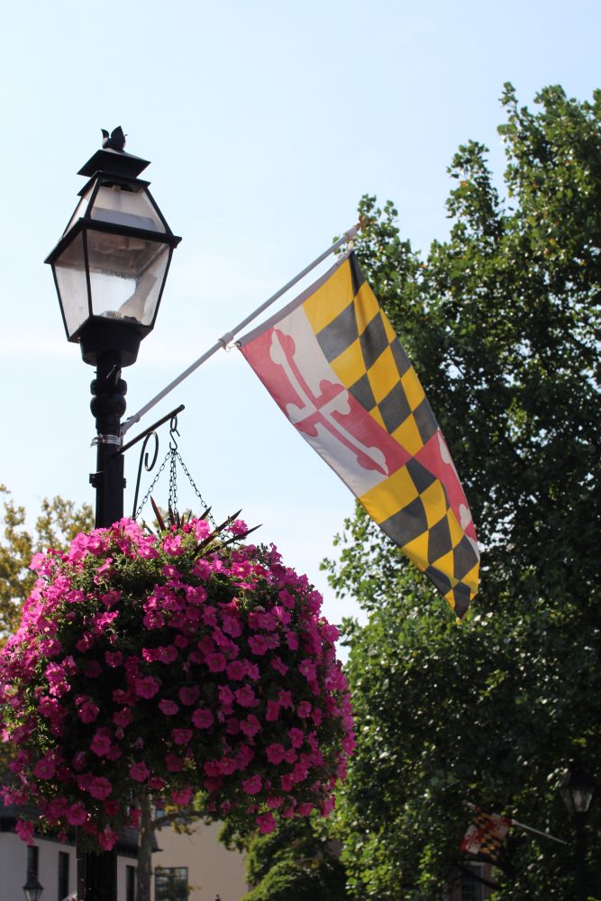 Maryland Just Banned Dynamic Grocery Pricing: What Shoppers Need to Know