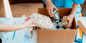 USDA food purchase