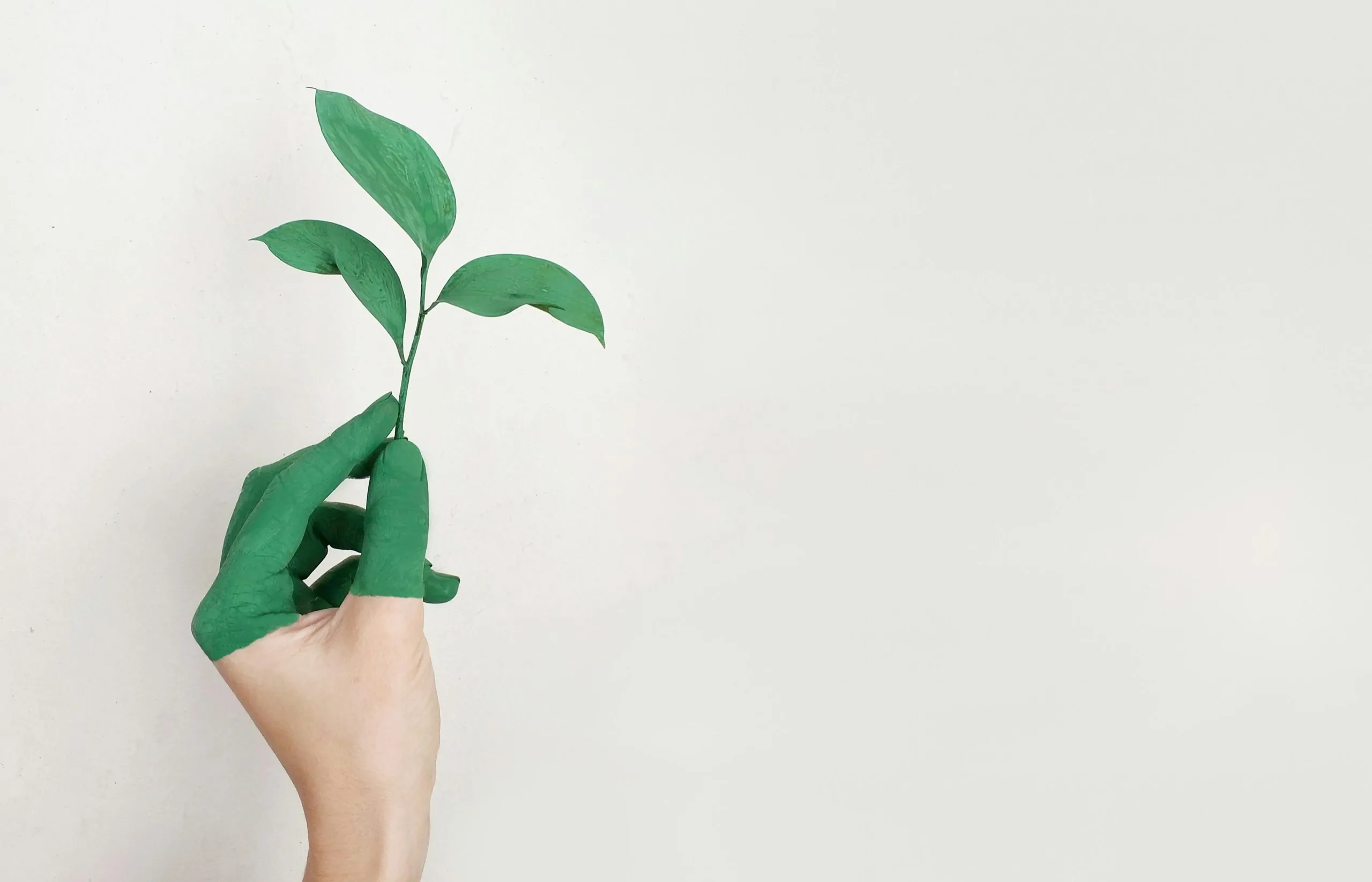 7 Brands Using ‘Eco-Friendly’ Labels That Mean Nothing