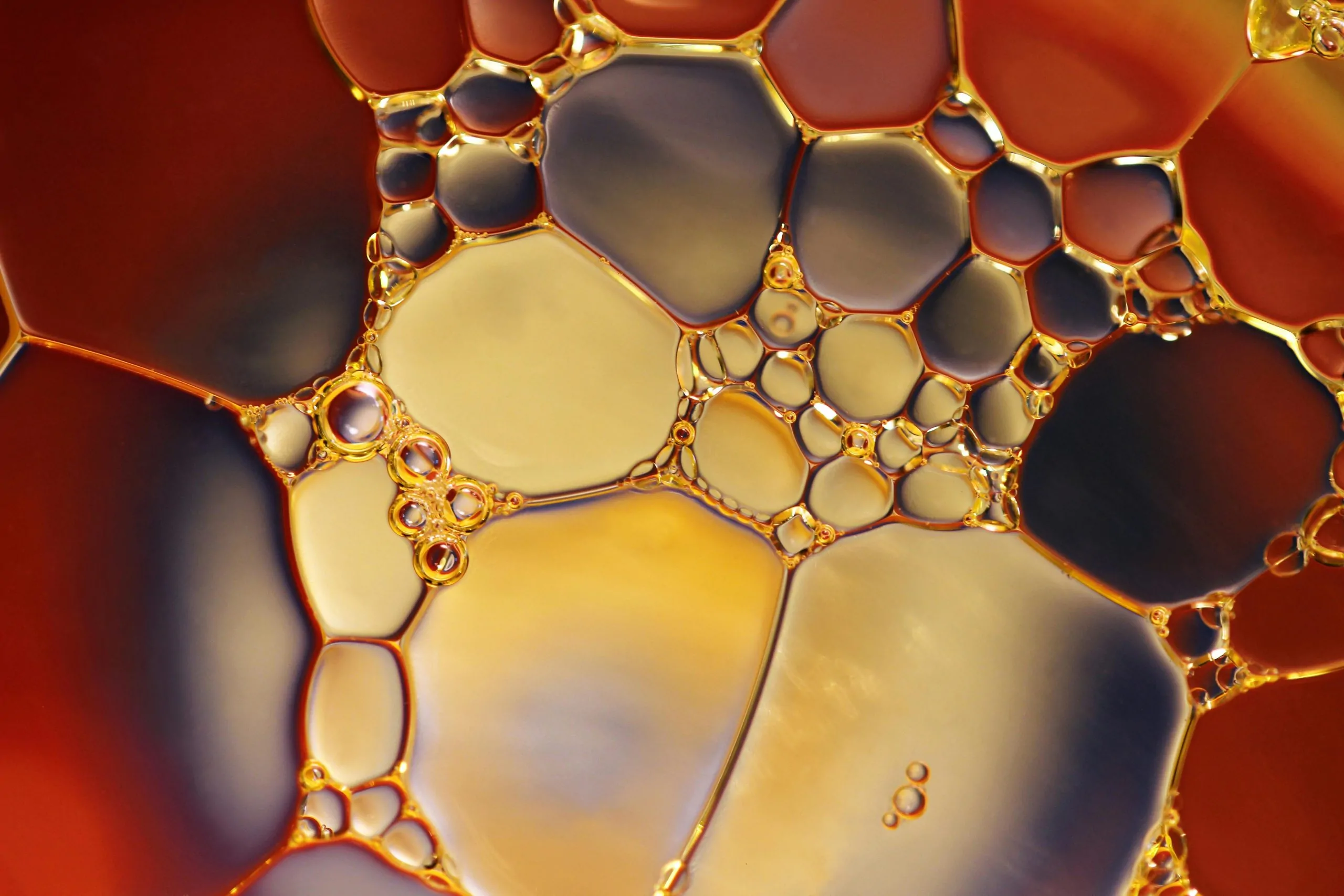 Major Oil and Gas Companies