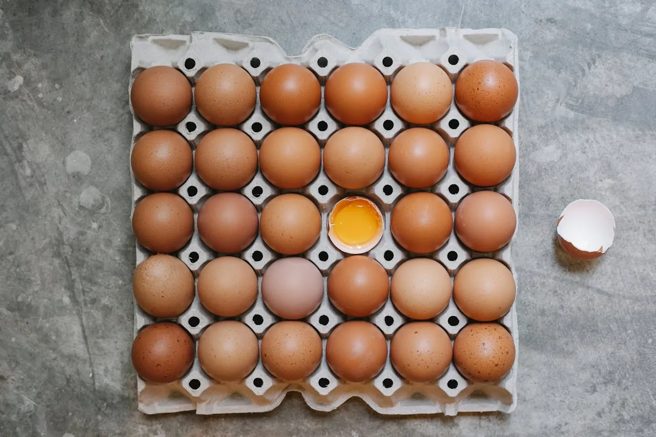 eggs